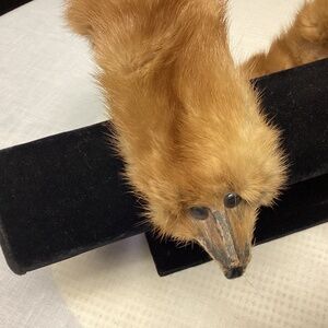 MINK.   FUR STOLE WRAP head n tailed circa 1940 ish  collar. Wrap. VINTAGE